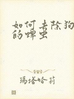 如何去除狗身上的蜱虫