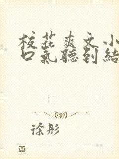 校花爽文小说一口气听到结局