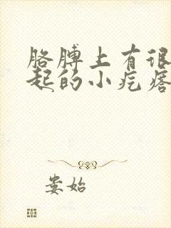 胳膊上有很多凸起的小疙瘩 不痒