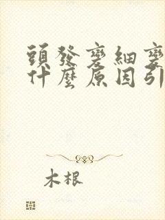 头发变细变软是什么原因引起的