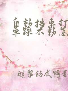 自动挡车打火刹车踩不动怎么回事