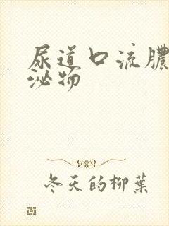 尿道口流脓样分泌物