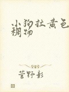 小狗拉黄色的粘稠物