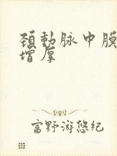 颈动脉中膜局部增厚