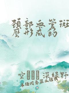 颈部血管斑块怎么形成的