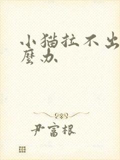 小猫拉不出尿怎么办