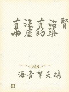 有没有治肾阴阳两虚的药