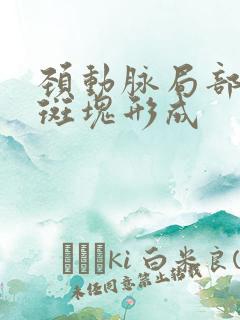 颈动脉局部粥样斑块形成