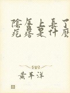 阴唇上长了个小疙瘩是什么原因