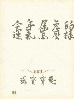 今年属兔的人的运气怎么样