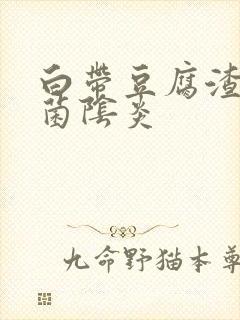 白带豆腐渣状霉菌阴炎