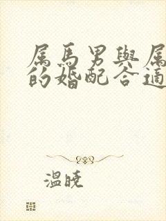 属马男与属龙女的婚配合适吗