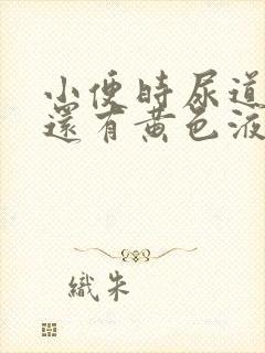 小便时尿道刺痛还有黄色液体