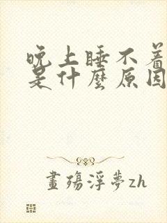 晚上睡不着不好是什么原因