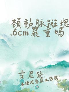 颈动脉斑块厚2.6cm严重吗