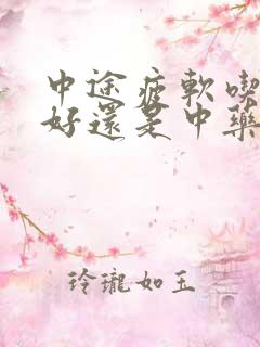 中途疲软吃西药好还是中药好