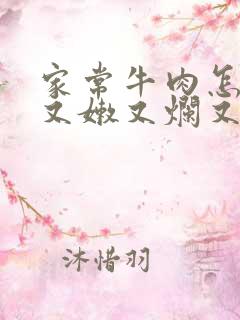 家常牛肉怎样炖又嫩又烂又好吃