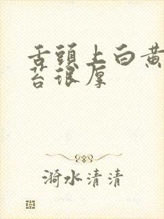 舌头上白黄色舌苔很厚