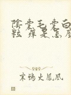 阴囊毛囊白色颗粒 痒是怎么回事