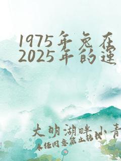 1975年兔在2025年的运气怎样
