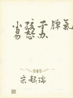 小孩子脾气暴躁易怒办