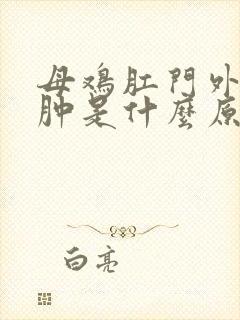 母鸡肛门外翻红肿是什么原因引起的