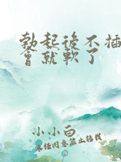 勃起后不插入一会就软了