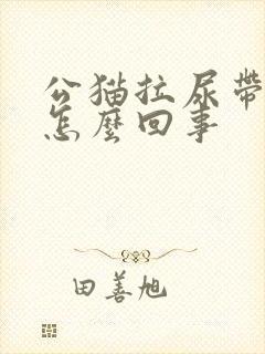 公猫拉尿带血是怎么回事