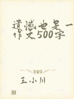 遗憾也是一种美作文500字