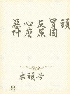 恶心反胃头晕是什么原因