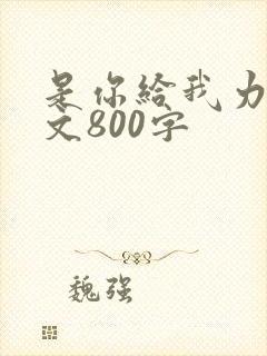 是你给我力量作文800字