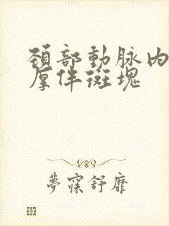 颈部动脉内膜增厚伴斑块