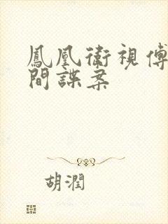 凤凰卫视傅晓田间谍案