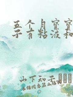 五个月宝宝拉肚子有粘液和奶瓣