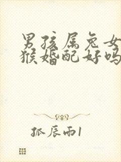 男孩属兔女孩属猴婚配好吗