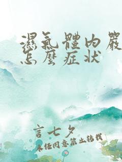 湿气体内严重是怎么症状