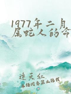 1977年二月属蛇人的命运