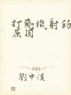 打飞机射的快的原因