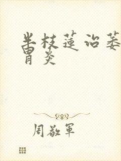 半枝莲治萎缩性胃炎