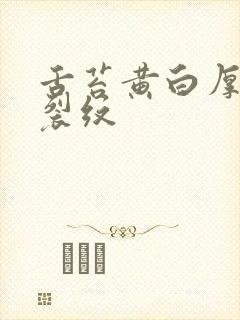 舌苔黄白厚腻有裂纹