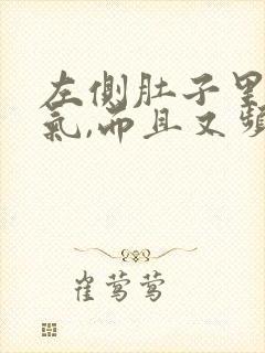 左侧肚子里有胀气,而且又频繁放屁