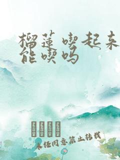 榴莲吃起来苦的能吃吗