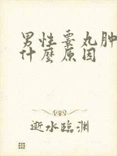 男性睾丸肿疼是什么原因