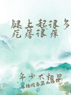 腿上起很多白色疙瘩很痒