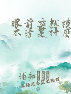 眼前突然模糊看不清是什么原因