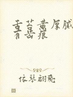 舌苔黄厚腻两边有齿痕