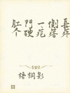 肛门一侧长了一个硬疙瘩疼