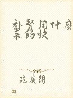 补肾用什么食补来的快