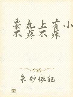 睾丸上有小疙瘩不疼不痒