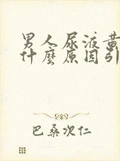 男人尿液黄色是什么原因引起的